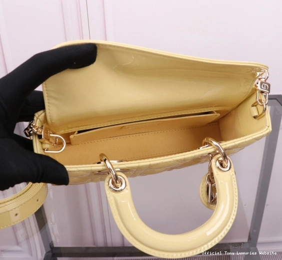 Tony Luxuries LADY BAG-22*12*6CM diro D-JOY 0710